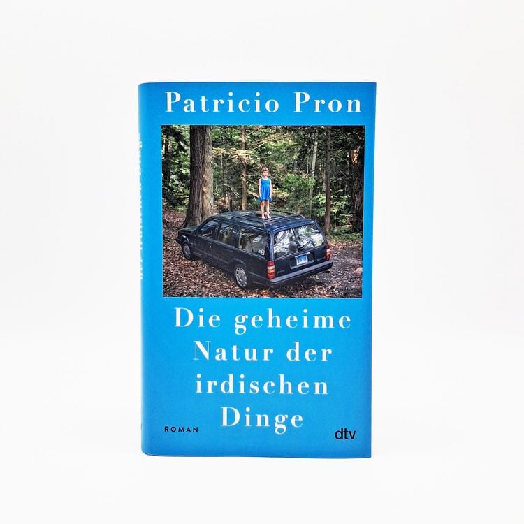 Produktbild: Die geheime Natur der irdischen Dinge