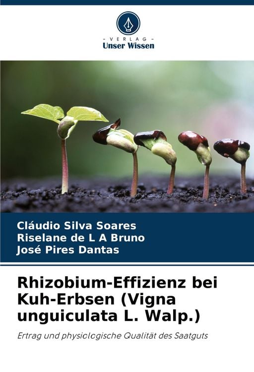 Produktbild: Rhizobium-Effizienz bei Kuh-Erbsen (Vigna unguiculata L. Walp.)