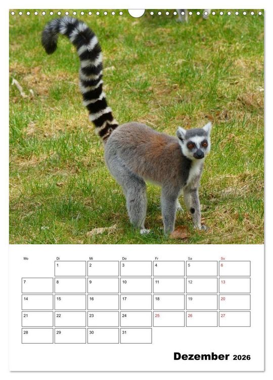 Produktbild: Katta Terminplaner (Wandkalender 2026 DIN A3 hoch), CALVENDO Monatskalender