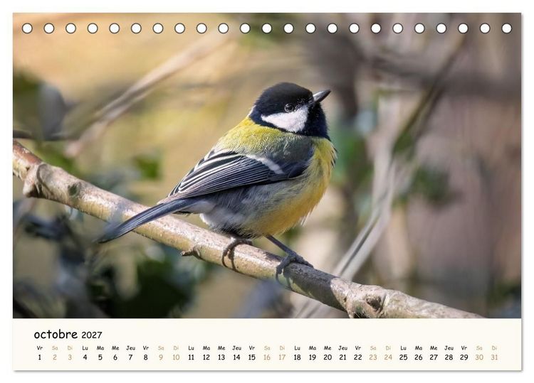 Produktbild: Les voisins du jardin - Une ann&eacute;e de rencontres (Calendrier de bureau 2027 DIN A5 vertical), CALVENDO calendrier mensuel