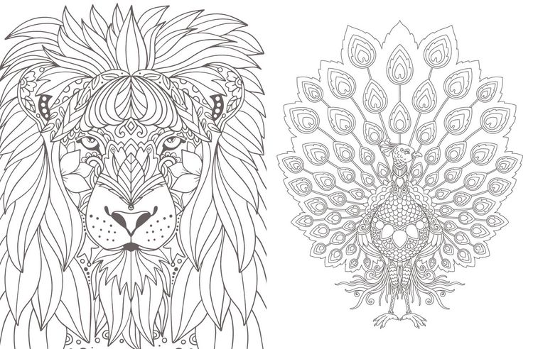 Produktbild: Colorful Mandala &ndash; Mandala &ndash; Bl&uuml;tenmeer