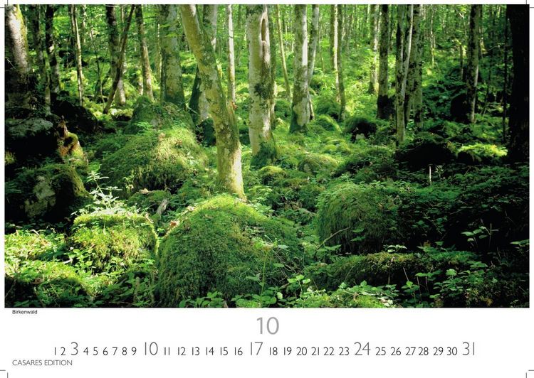 Produktbild: Schweden Kalender 2027 &ndash; Wandkalender | Fotokalender Nordeuropa 24x35cm - Naturerlebnisse & Landschaften des Nordens &ndash; Hochwertiger . mit beeindruckenden Fotos