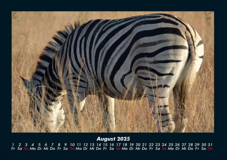 Produktbild: Zebrazauber 2025 Fotokalender DIN A4
