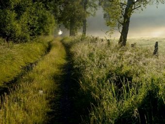 Produktbild: CALVENDO Puzzle Feldweg am fr&uuml;hen Morgen | 1000 Teile Lege-Gr&ouml;&szlig;e 64x48cm Foto-Puzzle f&uuml;r gl&uuml;ckliche Stunden