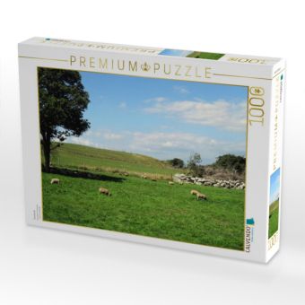 Produktbild: CALVENDO Puzzle Graslands | 1000 Teile Lege-Gr&ouml;&szlig;e 64x48cm Foto-Puzzle f&uuml;r gl&uuml;ckliche Stunden