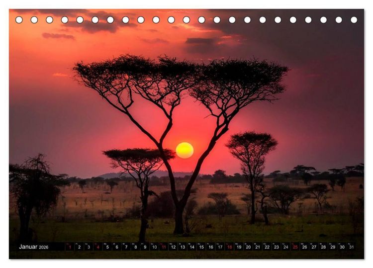 Produktbild: Afrikas B&auml;ume (Tischkalender 2026 DIN A5 quer), CALVENDO Monatskalender
