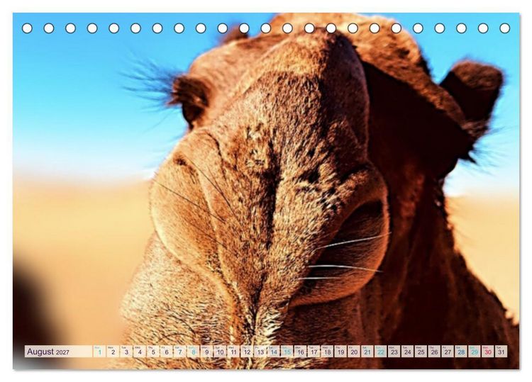 Produktbild: Marocco&rsquo;s Silent Desert (Desk Calendar 2027 DIN A5 landscape), CALVENDO 12 Month DeskCalendar