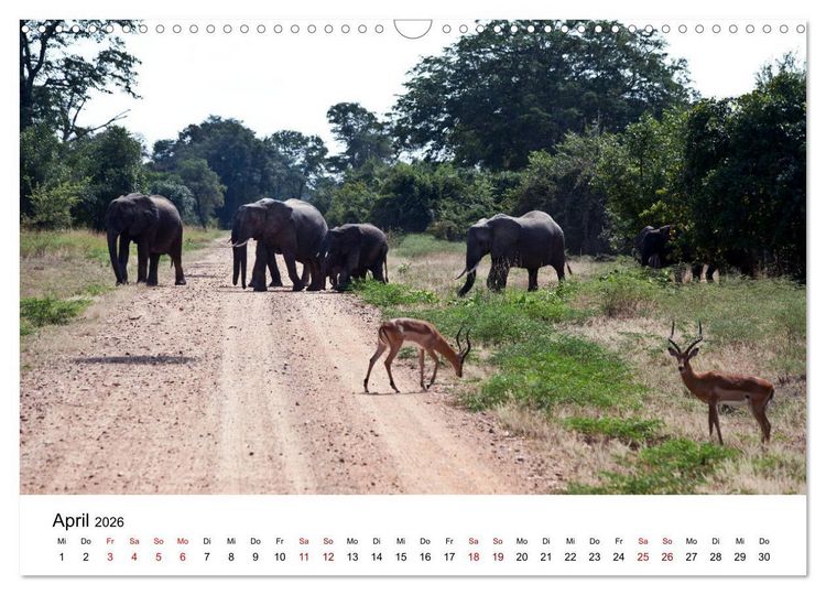 Produktbild: Sambia und der Sambesi (Wandkalender 2026 DIN A3 quer), CALVENDO Monatskalender