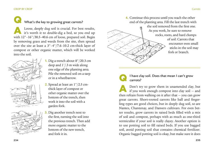 Produktbild: The Veggie Gardener's Answer Book