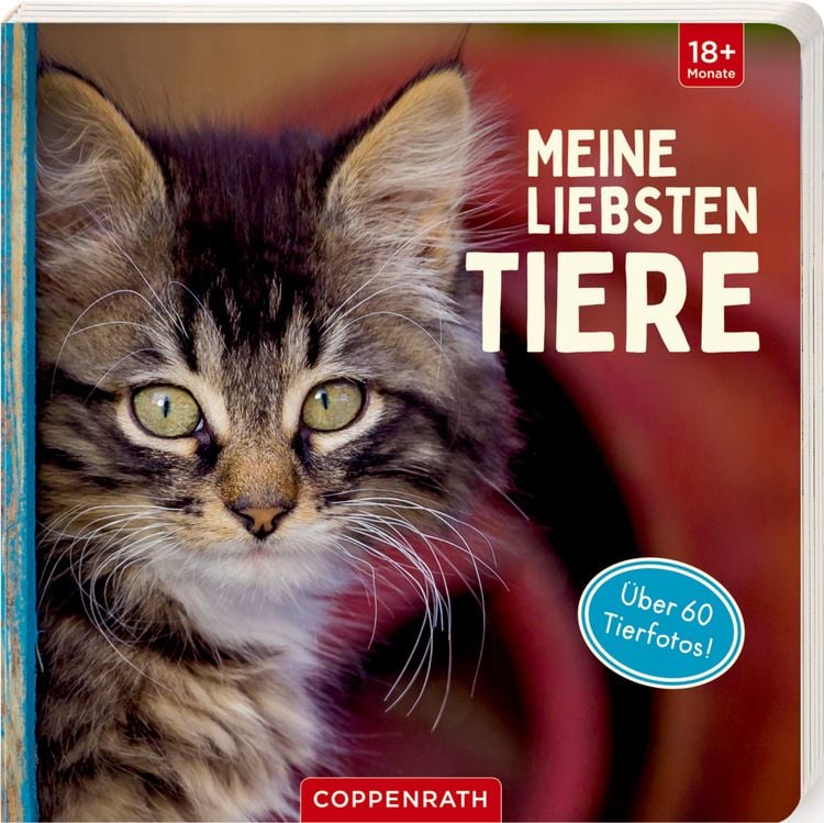 Produktbild: Meine liebsten Tiere