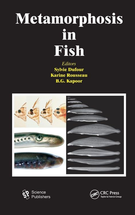 Produktbild: Metamorphosis in Fish