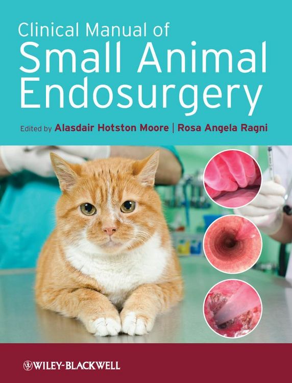 Produktbild: Clinical Manual of Small Animal Endosurgery