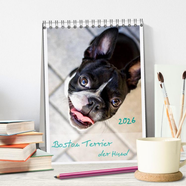 Produktbild: Boston Terrier der Hund 2026 (Tischkalender 2026 DIN A5 hoch), CALVENDO Monatskalender