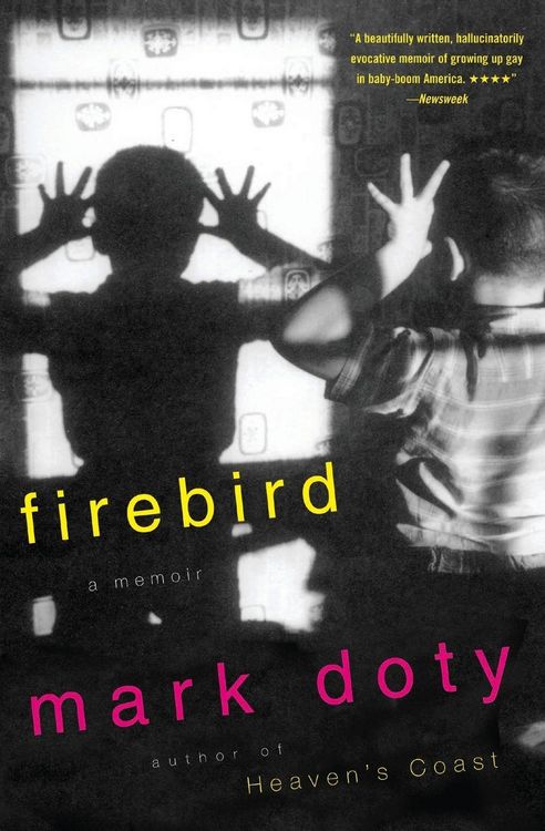 Produktbild: Firebird