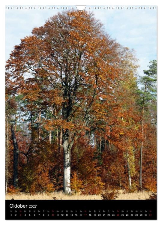 Produktbild: Land Brandenburg im Wechsel der Jahreszeiten (Wandkalender 2027 DIN A3 hoch), CALVENDO Monatskalender