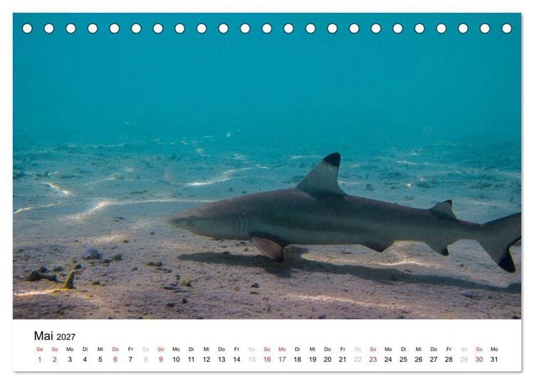 Produktbild: Malediven - Das Paradies im Indischen Ozean I (Tischkalender 2027 DIN A5 quer), CALVENDO Monatskalender