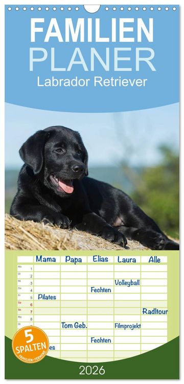 Produktbild: Familienplaner 2026 - Labrador Retriever 2026 mit 5 Spalten (Wandkalender, 21 x 45 cm) CALVENDO