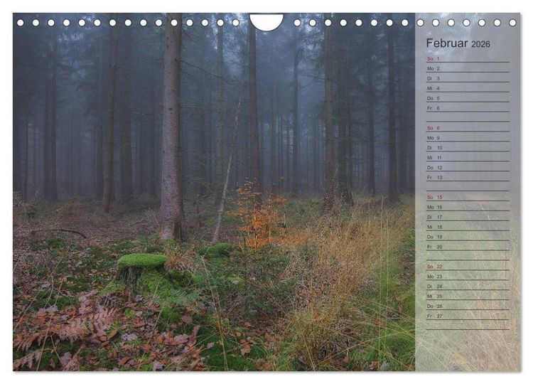 Produktbild: Unser Wald - Magische Sichten in norddeutsche W&auml;lder / Geburtstagskalender (Wandkalender 2026 DIN A4 quer), CALVENDO Monatskalender