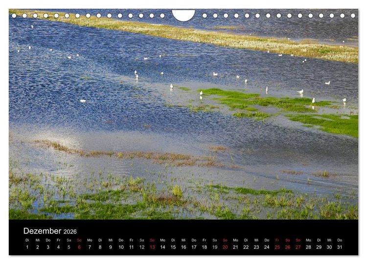 Produktbild: D&auml;nemarks Nordseek&uuml;ste (Wandkalender 2026 DIN A4 quer), CALVENDO Monatskalender