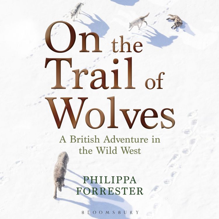 Produktbild: On the Trail of Wolves