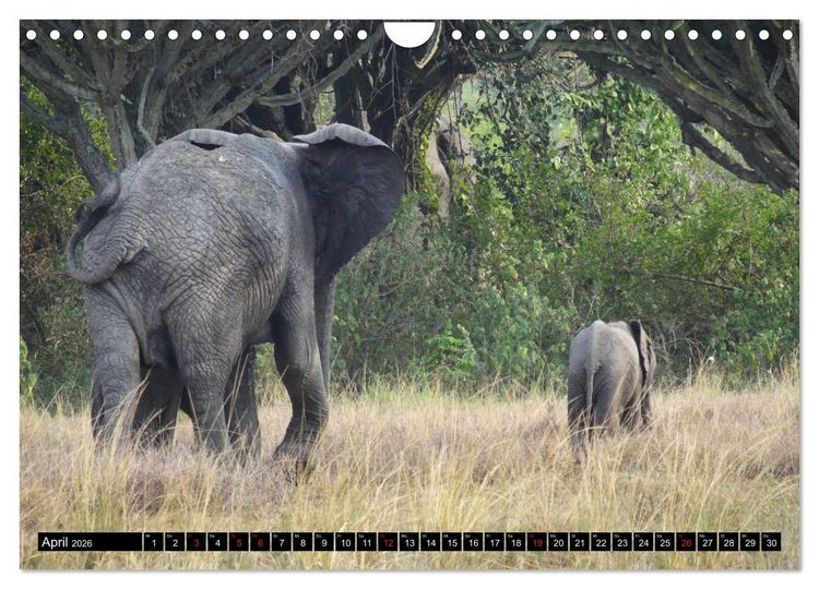 Produktbild: Afrikas Perle Uganda (Wandkalender 2026 DIN A4 quer), CALVENDO Monatskalender