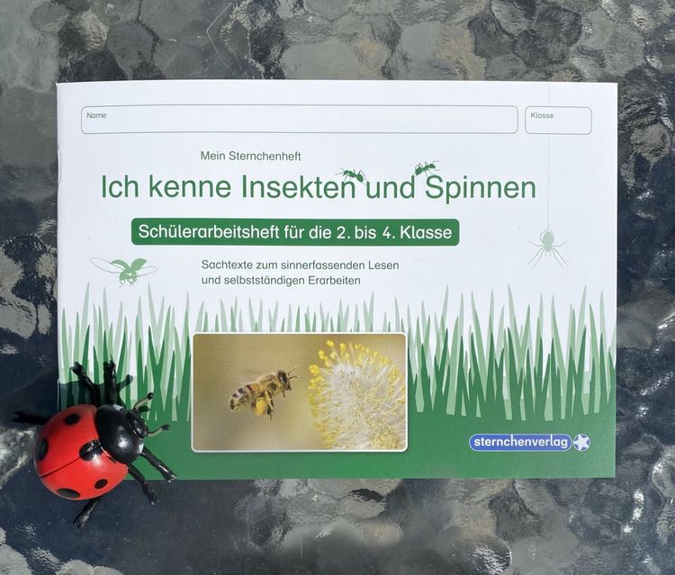Produktbild: Ich kenne Insekten und Spinnen - Sch&uuml;lerarbeitsheft f&uuml;r die 2. bis 4. Klasse