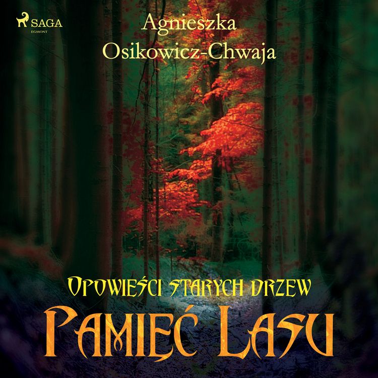 Produktbild: Pamięć lasu