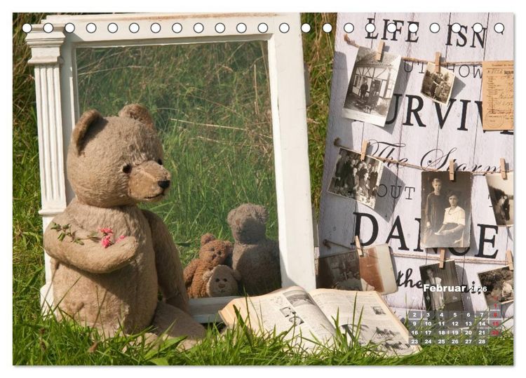 Produktbild: Geliebte B&auml;ren - Teddys (Tischkalender 2026 DIN A5 quer), CALVENDO Monatskalender