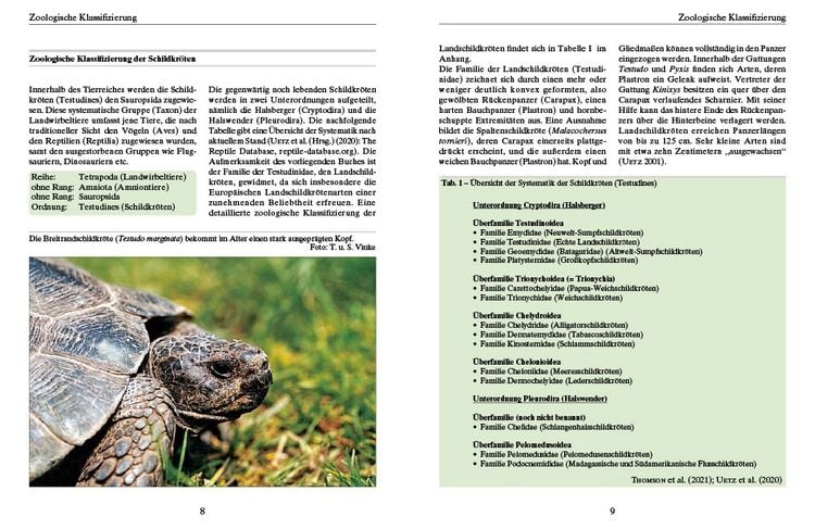 Produktbild: Ern&auml;hrung von Landschildkr&ouml;ten