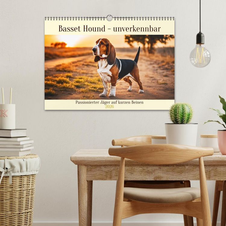 Produktbild: Basset Hound - unverkennbar (Wandkalender 2026 DIN A3 quer), CALVENDO Monatskalender