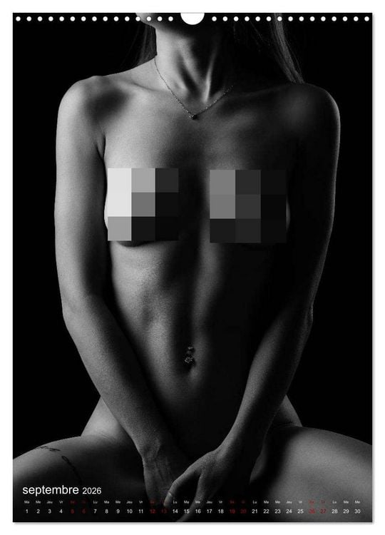 Produktbild: Apparat lumineux (Calendrier mural 2026 DIN A3 horizontal), CALVENDO calendrier mensuel