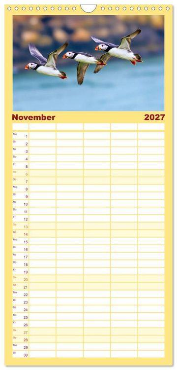 Produktbild: Familienplaner 2027 - Tieftaucher Papageitaucher mit 5 Spalten (Wandkalender, 21 x 45 cm) CALVENDO