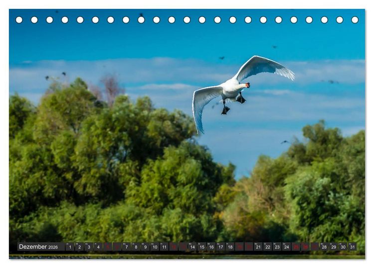 Produktbild: Das Paradies Donaudelta (Tischkalender 2026 DIN A5 quer), CALVENDO Monatskalender