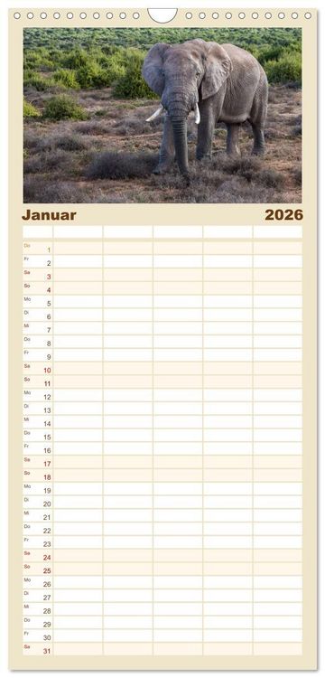 Produktbild: Familienplaner 2026 - S&uuml;dafrika - Garden Route mit 5 Spalten (Wandkalender, 21 x 45 cm) CALVENDO