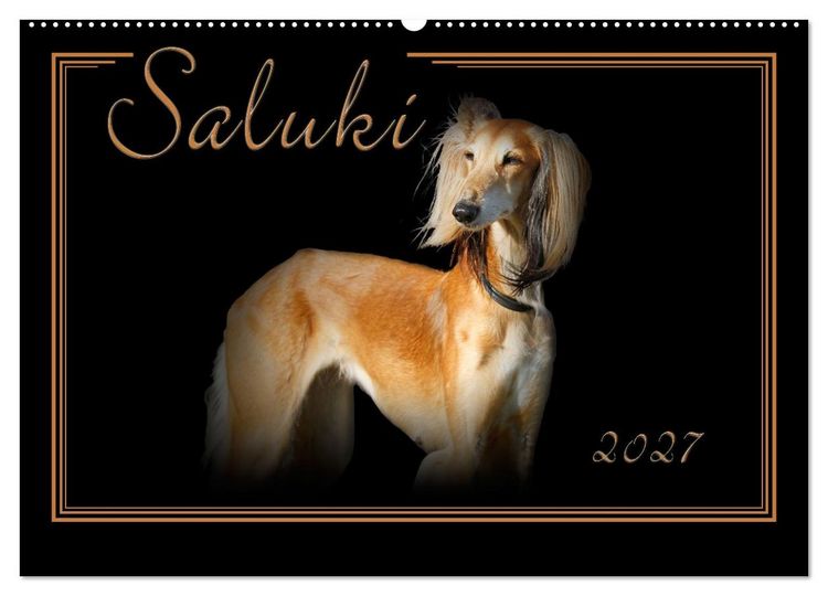 Produktbild: Saluki 2027 (Wandkalender 2027 DIN A2 quer), CALVENDO Monatskalender