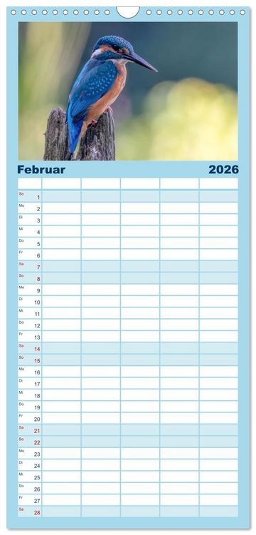 Produktbild: Familienplaner 2026 - Unsere Vogelvielfalt: Ein Schatz zum Entdecken und Sch&uuml;tzen mit 5 Spalten (Wandkalender, 21 x 45 cm) CALVENDO