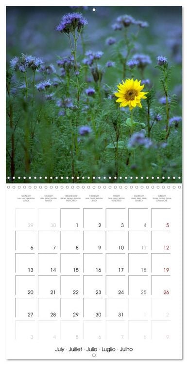 Produktbild: Les couleurs de la Vienne (Calendrier mural carr&eacute; 2026 30x30 cm) Calendrier double avec une page pour vos prises de notes