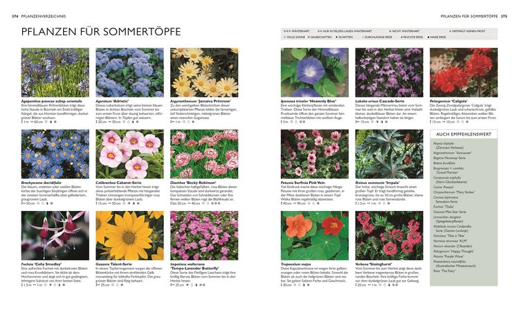 Produktbild: Die neue Gartenschule