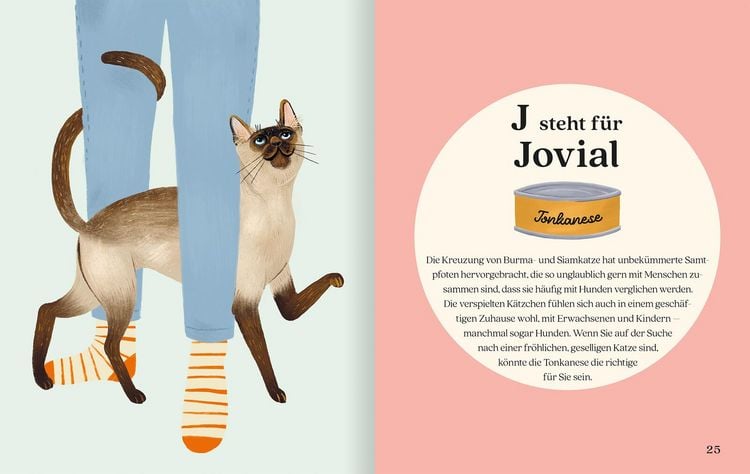 Produktbild: Katzenalphabet