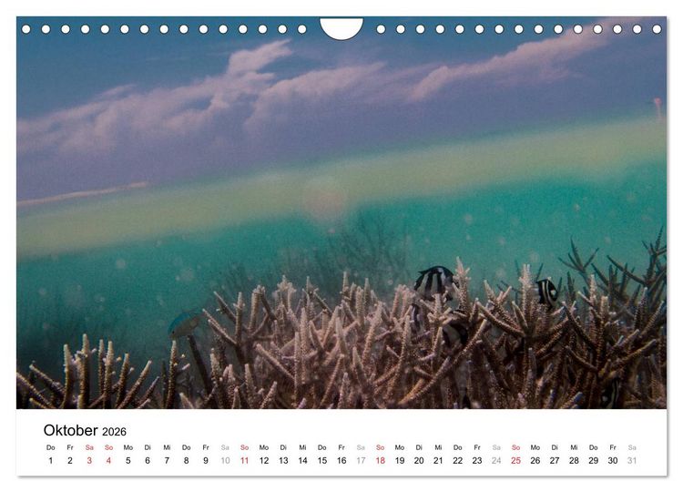Produktbild: Unterwasserwelt der Malediven I (Wandkalender 2026 DIN A4 quer), CALVENDO Monatskalender