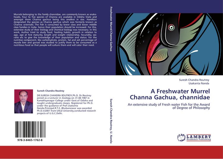 Produktbild: A Freshwater Murrel Channa Gachua, channidae