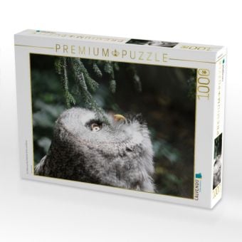 Produktbild: CALVENDO Puzzle Ein Motiv aus dem Kalender Eulen und K&auml;uze | 1000 Teile Lege-Gr&ouml;&szlig;e 64x48cm Foto-Puzzle f&uuml;r gl&uuml;ckliche Stunden
