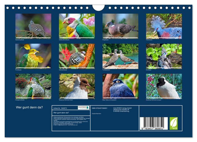 Produktbild: Wer gurrt denn da? (Wandkalender 2026 DIN A4 quer), CALVENDO Monatskalender