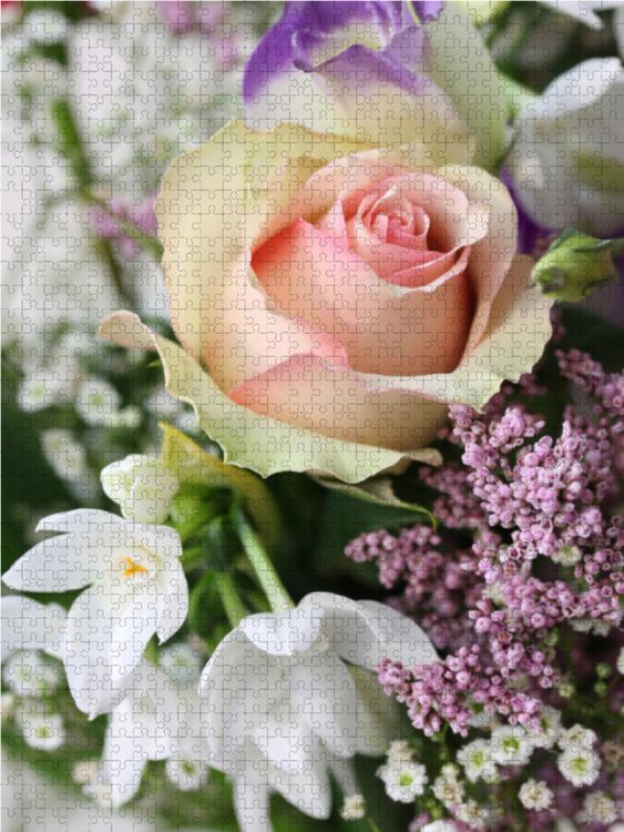 Produktbild: CALVENDO Puzzle Rose und wei&szlig;e Narzissen 1000 Teile Lege-Gr&ouml;&szlig;e 48 x 64 cm Foto-Puzzle Bild von Gisela Kruse