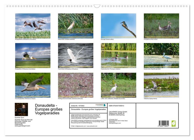 Produktbild: Donaudelta - Europas gro&szlig;es Vogelparadies (Wandkalender 2026 DIN A2 quer), CALVENDO Monatskalender