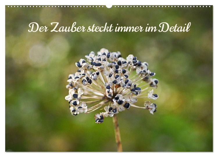Produktbild: Der Zauber steckt immer im Detail (Wandkalender 2026 DIN A2 quer), CALVENDO Monatskalender