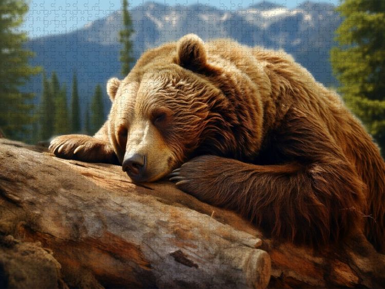 Produktbild: CALVENDO Puzzle Ein Motiv aus dem Kalender "Wenn sie schlafen" | 2000 Teile Lege-Gr&ouml;&szlig;e 90x67cm Foto-Puzzle f&uuml;r gl&uuml;ckliche Stunden