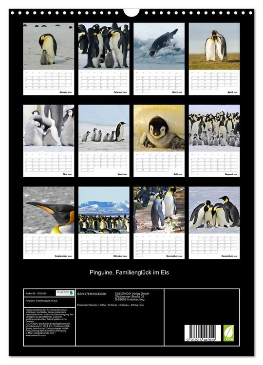 Produktbild: Pinguine. Familiengl&uuml;ck im Eis (Wandkalender 2026 DIN A3 hoch), CALVENDO Monatskalender