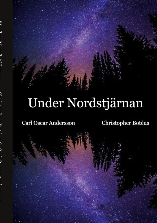 Produktbild: Under Nordstj&auml;rnan