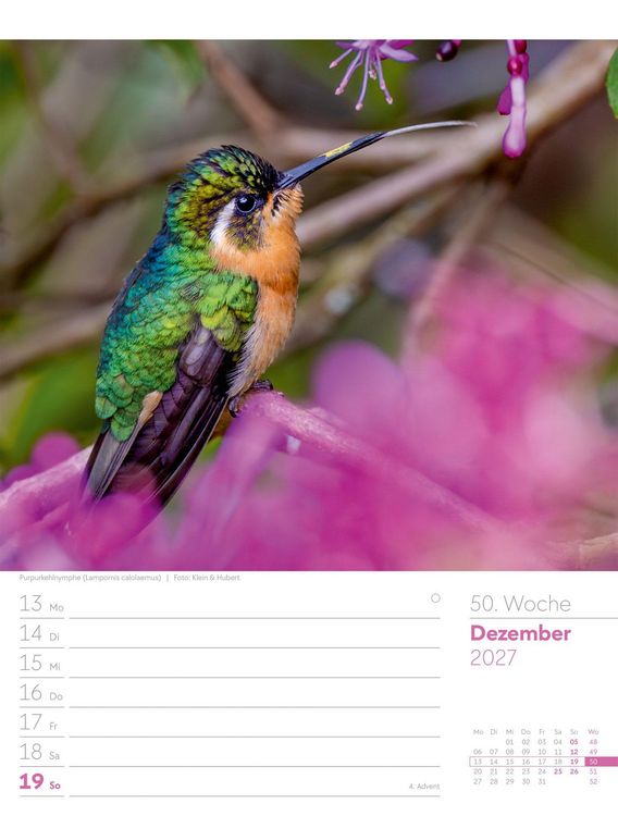 Produktbild: V&ouml;gel Wochenplaner Kalender 2027